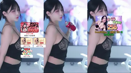 BJ하루超高速加特林热舞20241109Hot Dance